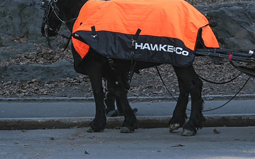 HAWKE & CO. DELIVERS A WARM WINTER GIFT OF CUSTOM PUFFER COATS TO THE HARD-WORKING CENTRAL PARK CARRIAGE HORSES