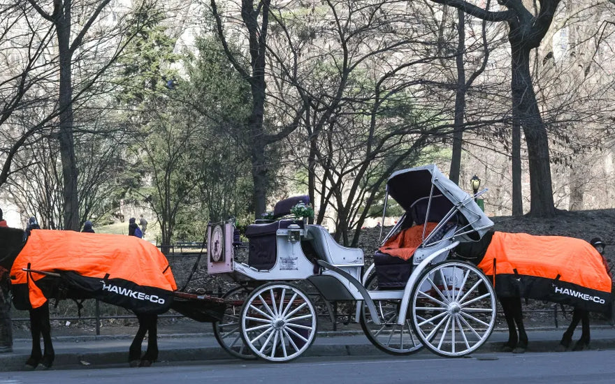 Hawke & Co. ‘Dress’ Central Park Horses in Logoed Blankets