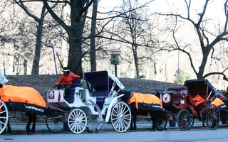 Hawke & Co. Outfits Central Park Carriage Horses In Custom Puffers