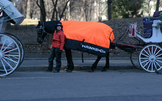 Hawke & Co. gift custom puffer coats to Central Park carriage horses
