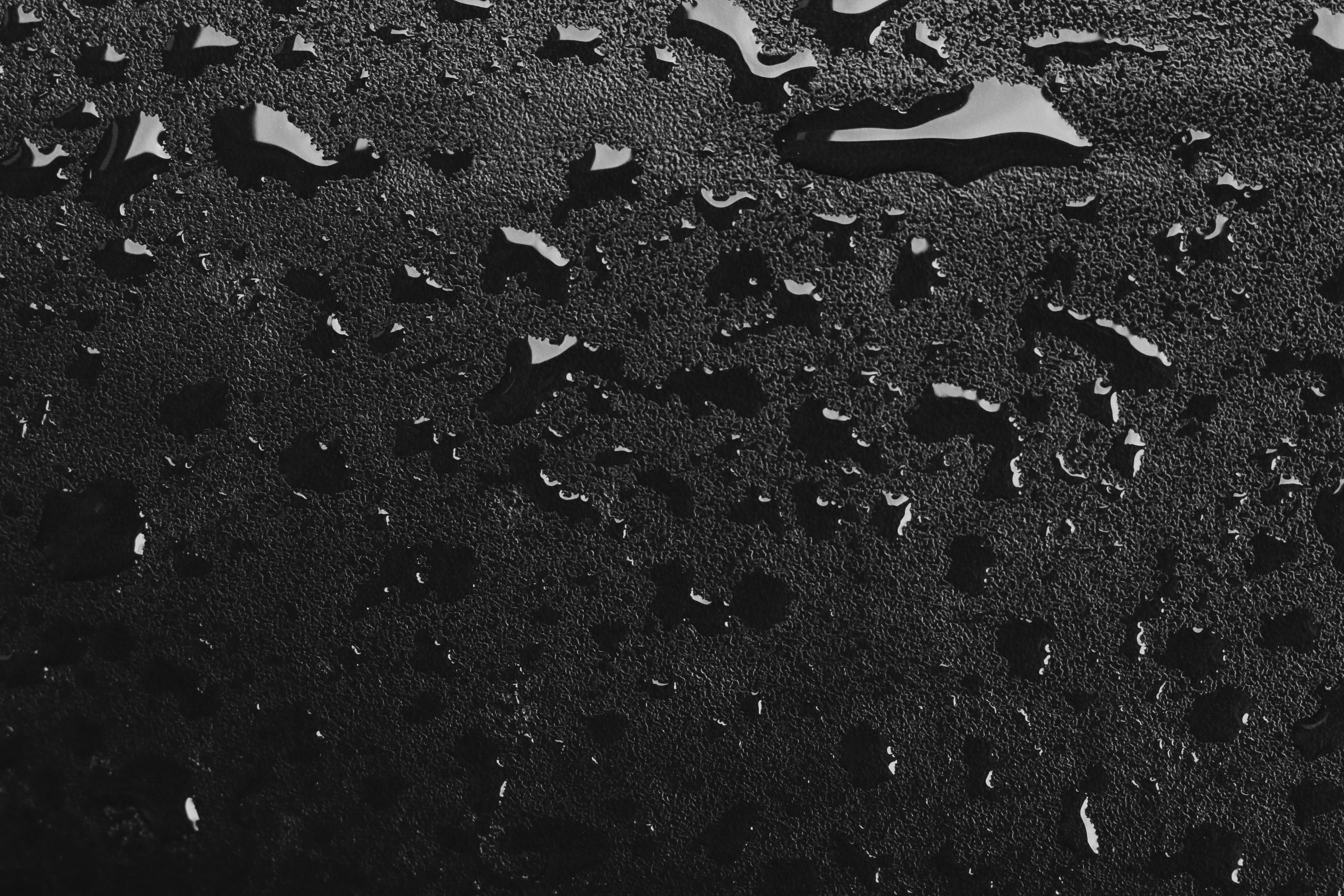 Black/Loden