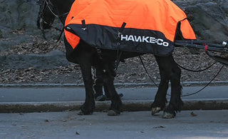 Hawke & Co. ‘Dress’ Central Park Horses in Logoed Blankets