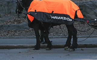 Hawke & Co. ‘Dress’ Central Park Horses in Logoed Blankets