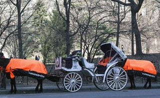 Hawke & Co. gift custom puffer coats to Central Park carriage horses