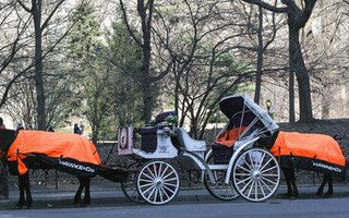 Hawke & Co. gift custom puffer coats to Central Park carriage horses