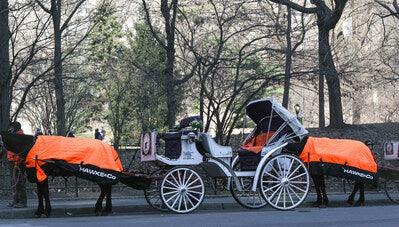 HAWKE & CO. DELIVERS A WARM WINTER GIFT OF CUSTOM PUFFER COATS TO THE HARD-WORKING CENTRAL PARK CARRIAGE HORSES