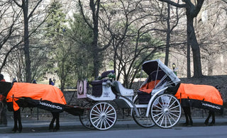 Hawke & Co. ‘Dress’ Central Park Horses in Logoed Blankets