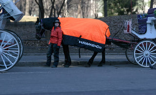 Hawke & Co. gift custom puffer coats to Central Park carriage horses