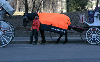 Hawke & Co Keeping Carriage Horses Warm and Dry