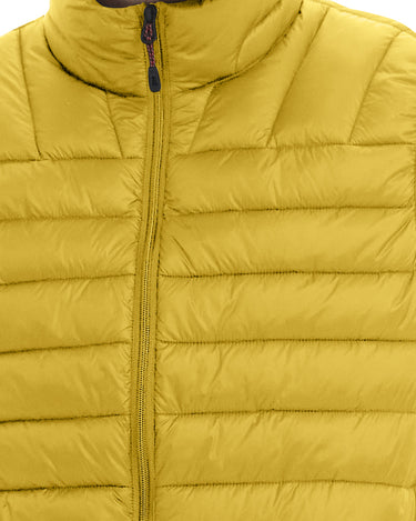 Pale Gold