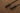 Bark